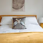 Modern Bright Spacious