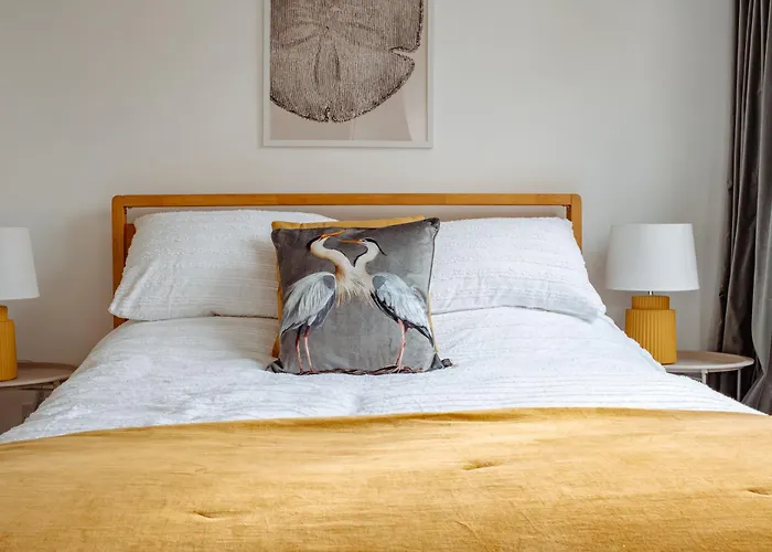 Modern Bright Spacious